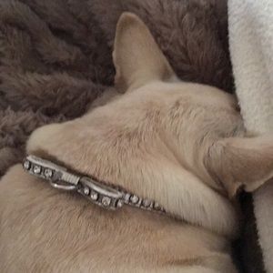 Meet your Posher, Sally